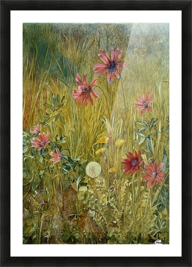 Wild flowers Picture Frame print