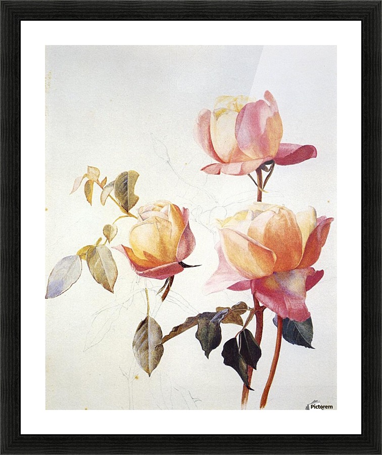 Florentine Roses Picture Frame print