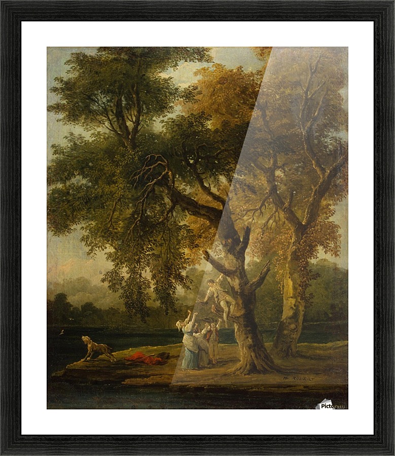 Nest Robbers Picture Frame print