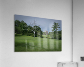 SS tree Acrylic Print