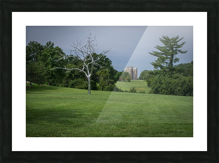 SS tree Picture Frame print