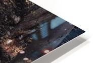 Lere_du_buffle HD Metal print