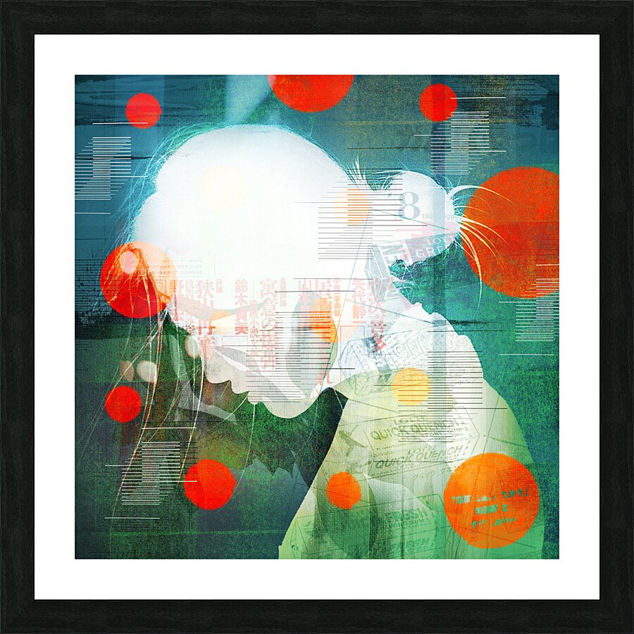 Placidus Picture Frame print