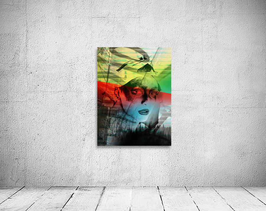 Dissuade Wall Preview