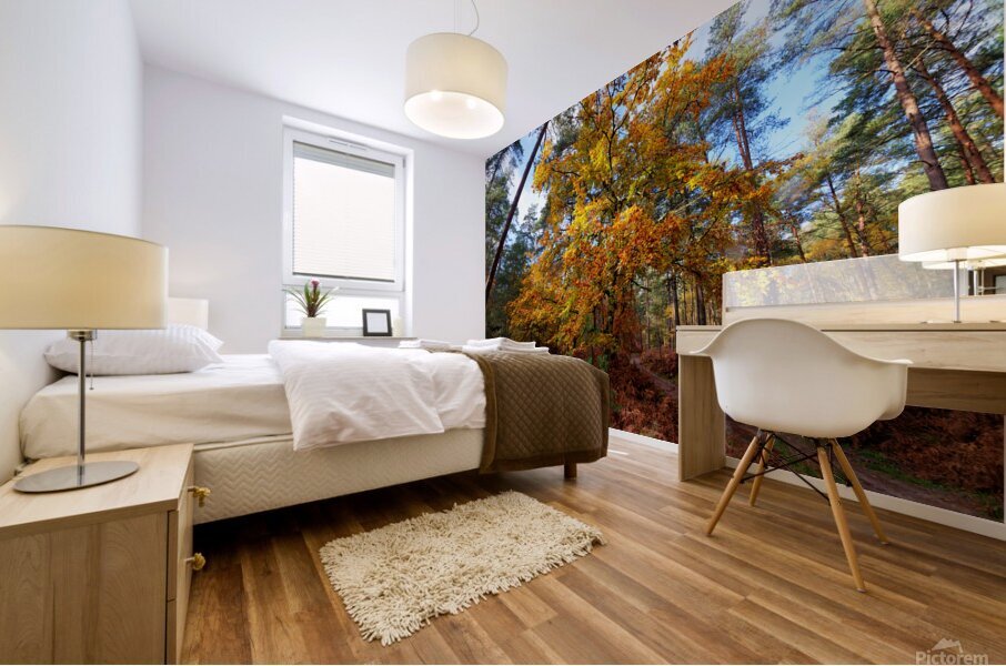 Gorges du houx Mural print