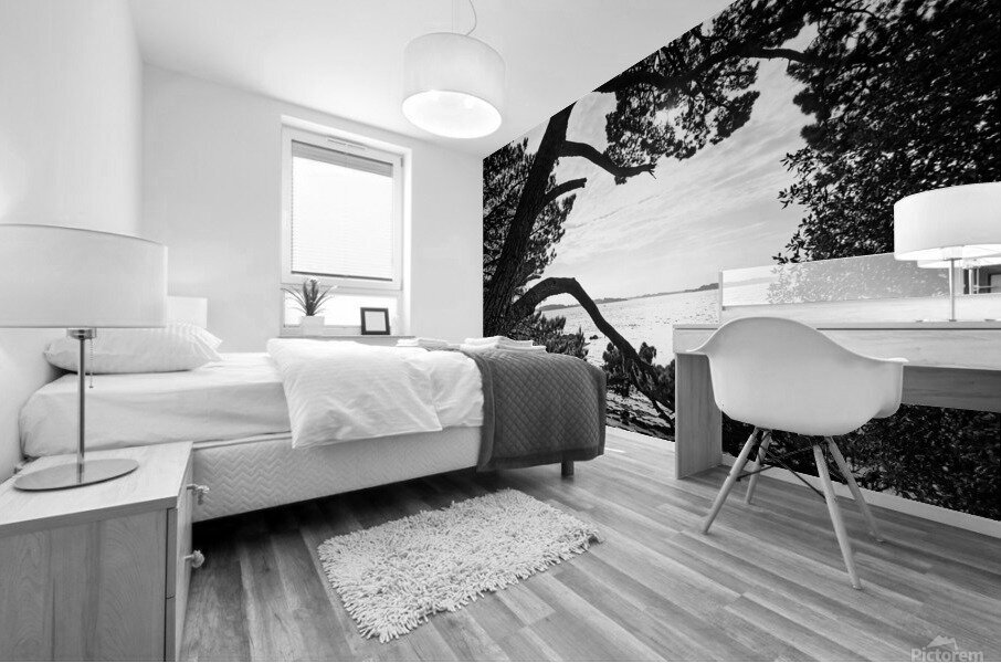 Ile Berder Mural print