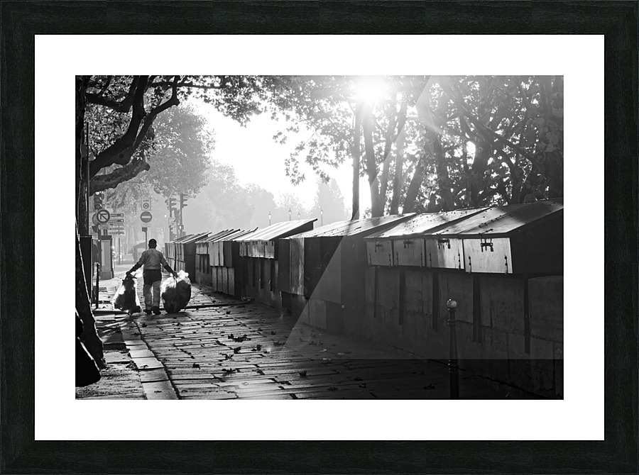 Booksellers shops Picture Frame print