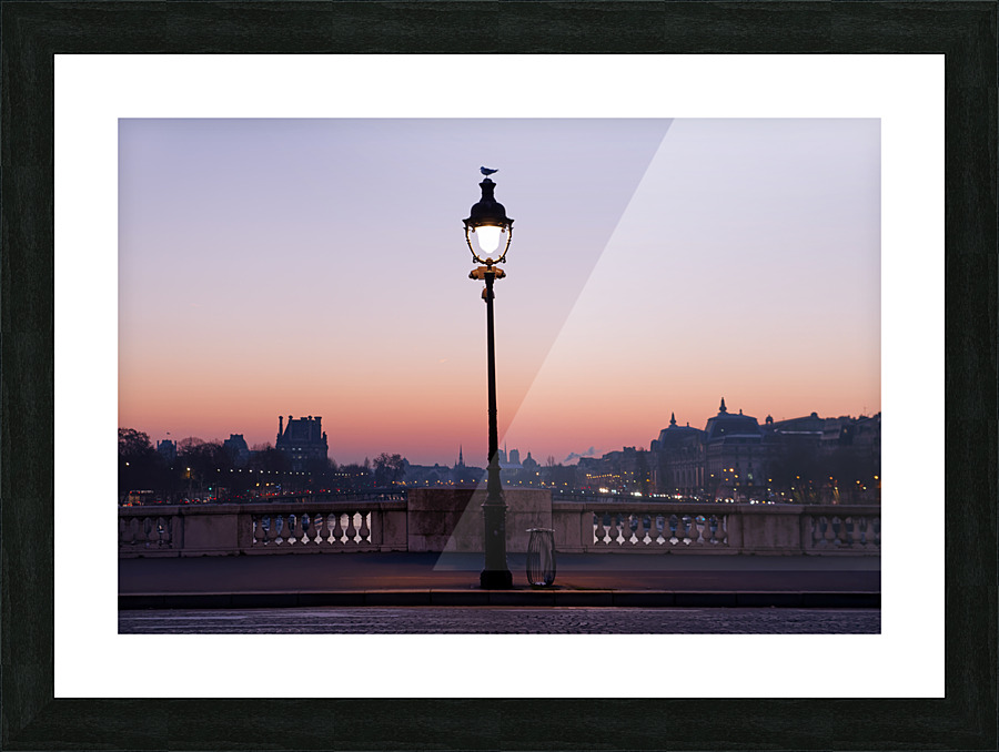 Lonely pigeon Picture Frame print