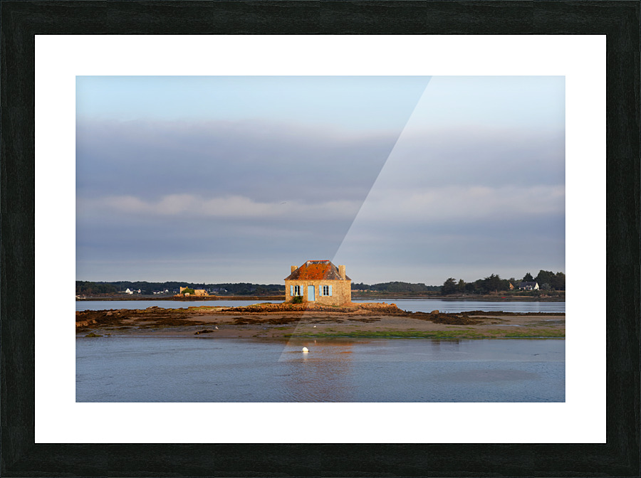 Cado Picture Frame print