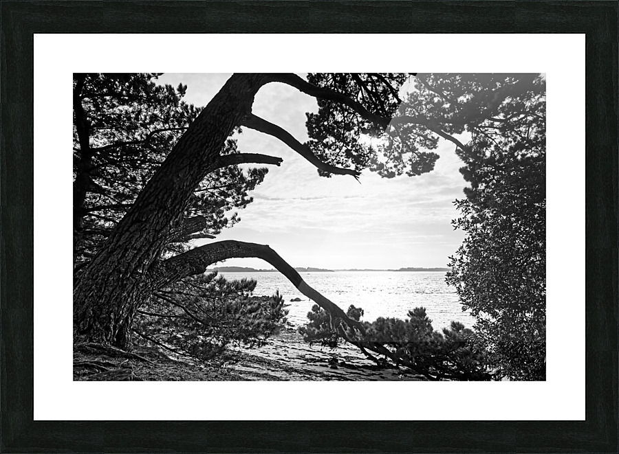 Ile Berder Picture Frame print