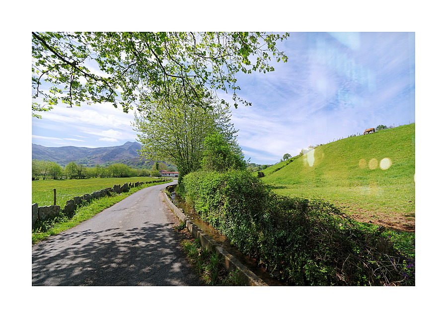 Country road Picture Frame print