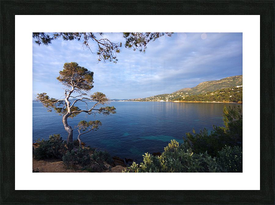 Blue creek Picture Frame print