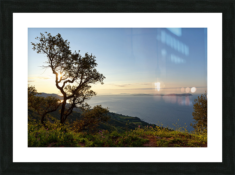  Giens peninsula Picture Frame print