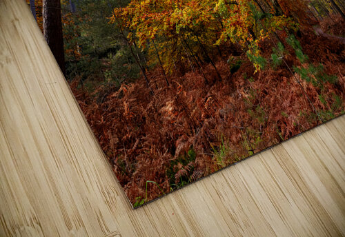 Gorges du houx Hassan Bensliman puzzle