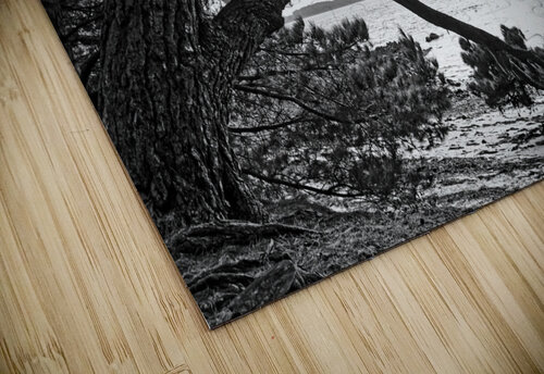 Ile Berder Hassan Bensliman puzzle