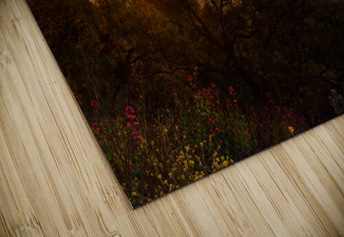 Colle Noire mountain Hassan Bensliman puzzle