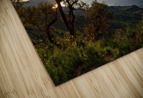  Giens peninsula Hassan Bensliman puzzle