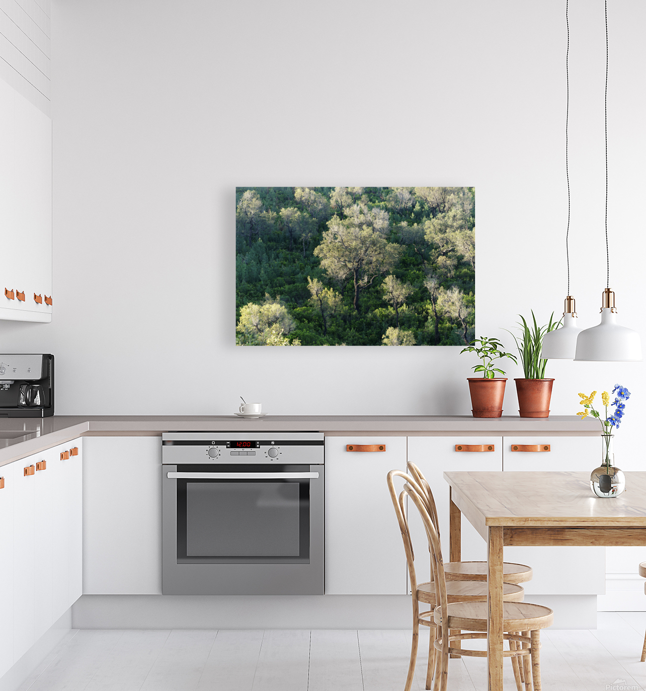 Mediterranean forest Reproduction