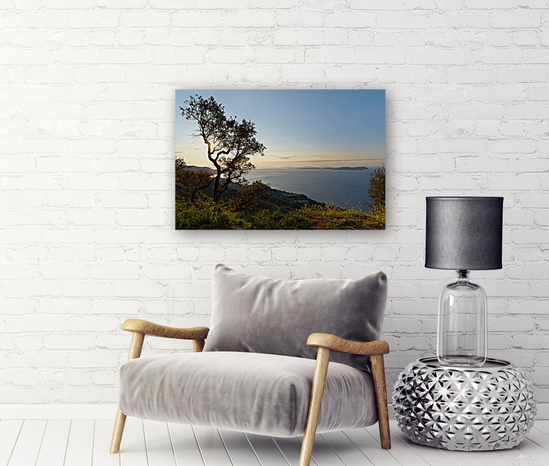  Giens peninsula Reproduction