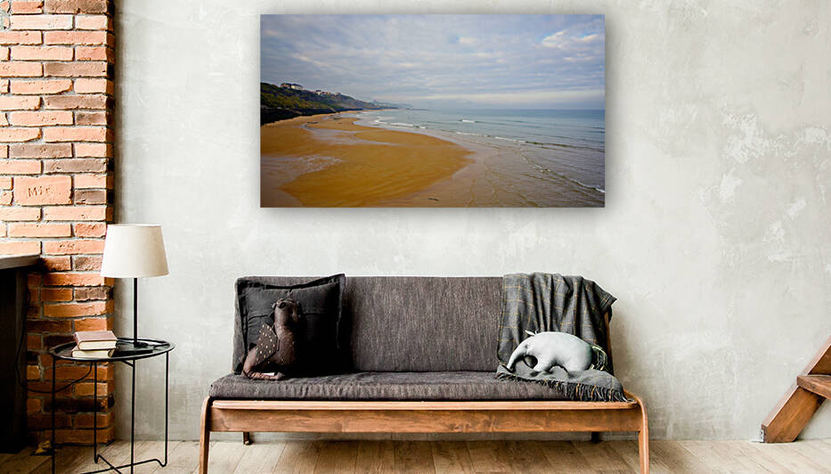 Basques coast Reproduction