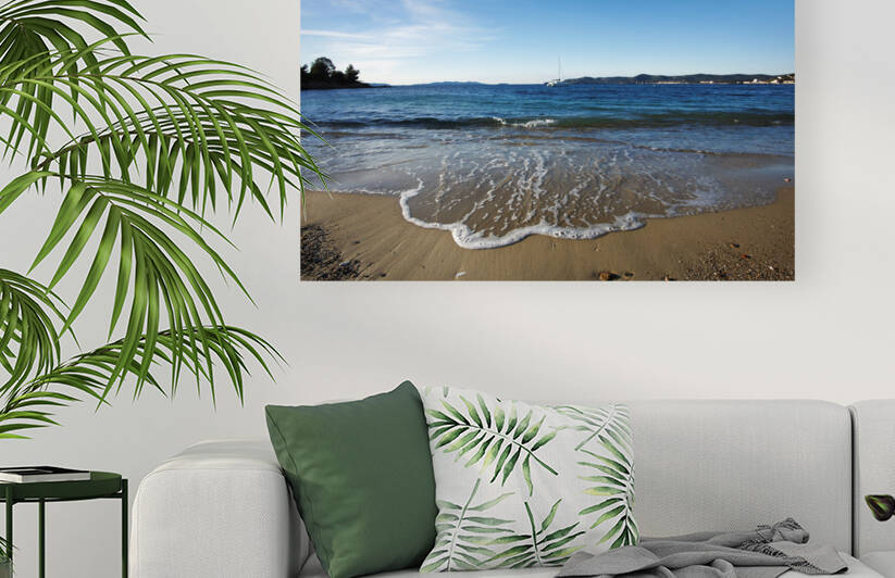 Fossette beach Reproduction
