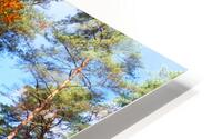 Gorges du houx HD Metal print