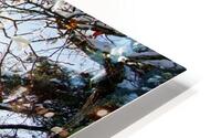 Mare de Franchard HD Metal print