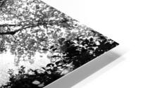 Dead leaves HD Metal print