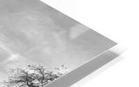  Petit pont  HD Metal print