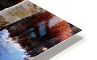Mare de coquibus HD Metal print
