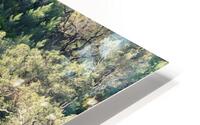 Mediterranean forest HD Metal print
