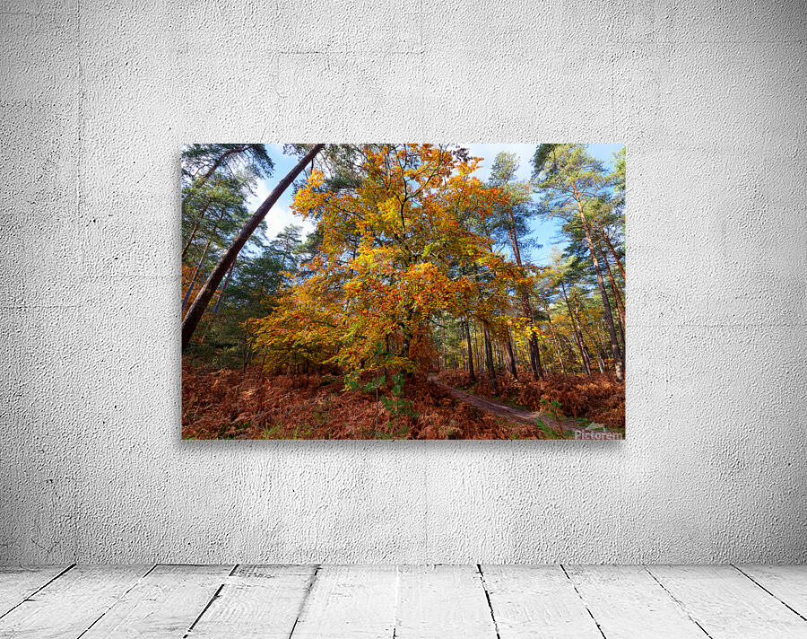 Gorges du houx Wall Preview
