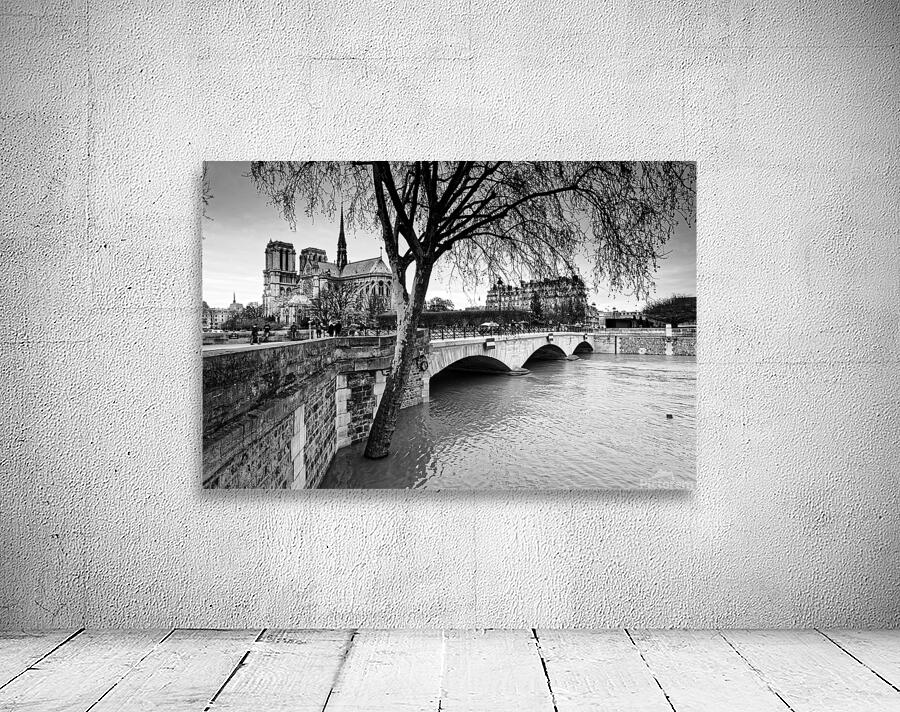 Seine river flood Wall Preview