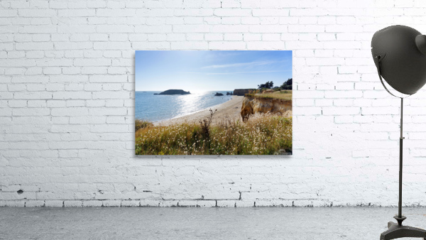 Penestin Wall Preview