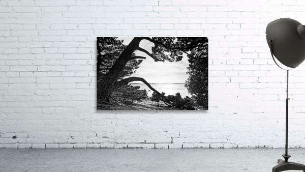 Ile Berder Wall Preview