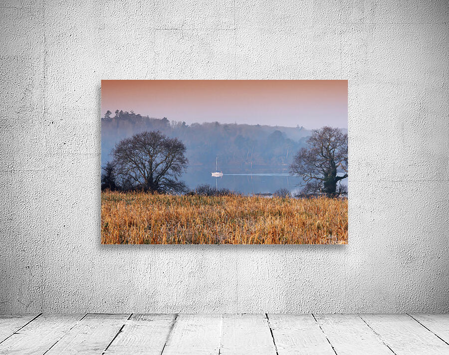 Riviere dAuray Wall Preview