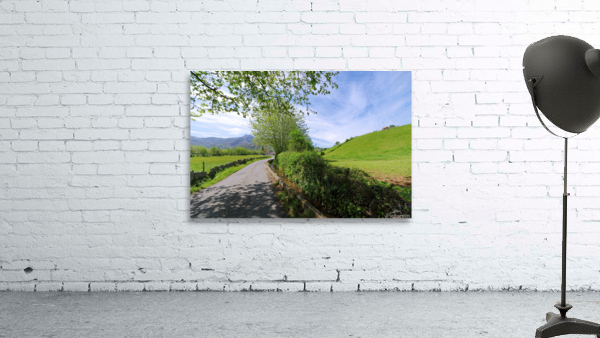 Country road Wall Preview
