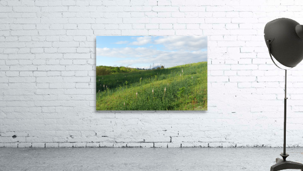Haicabia path Wall Preview