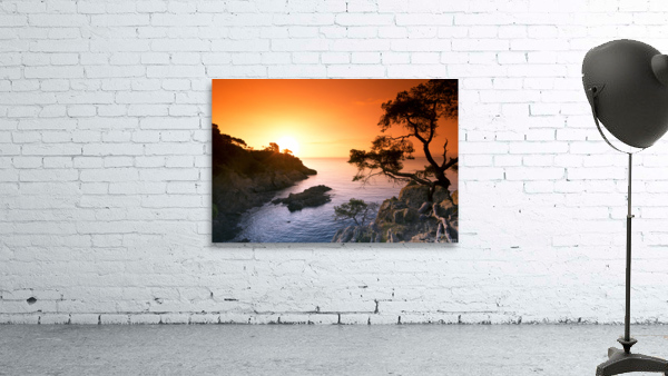 Layet creek Wall Preview
