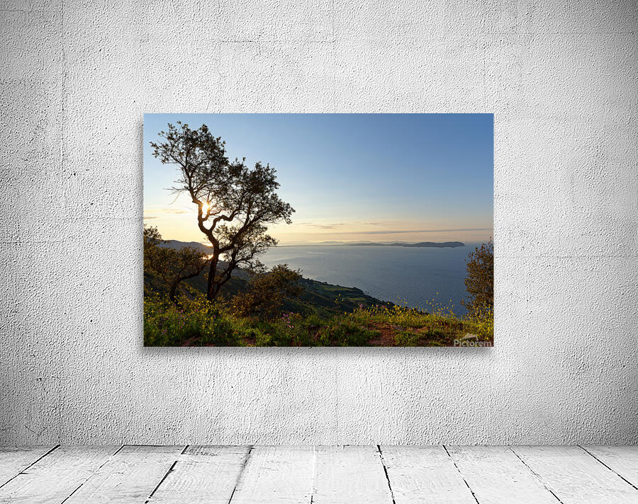  Giens peninsula Wall Preview
