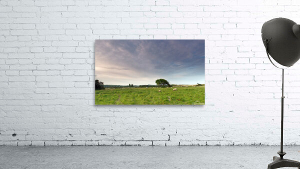 Saltbush lamb  Wall Preview