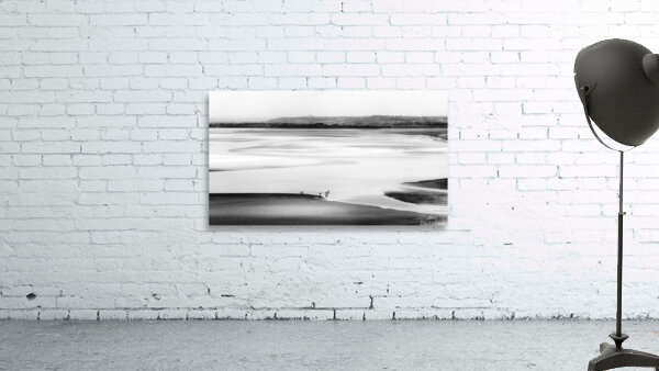 Walking on the bay Wall Preview