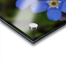 IMG 20240418 173857 Acrylic print