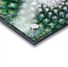 IMG 20240513 160259 Acrylic print