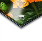 IMG 20240410 122004 Acrylic print