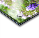 IMG 20240415 092828 Acrylic print