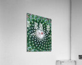 IMG 20240513 160259 Acrylic Print