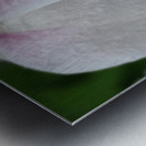 droponflowera Metal print