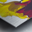 floresalrya Metal print