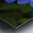 IMG 20240418 173857 Metal print